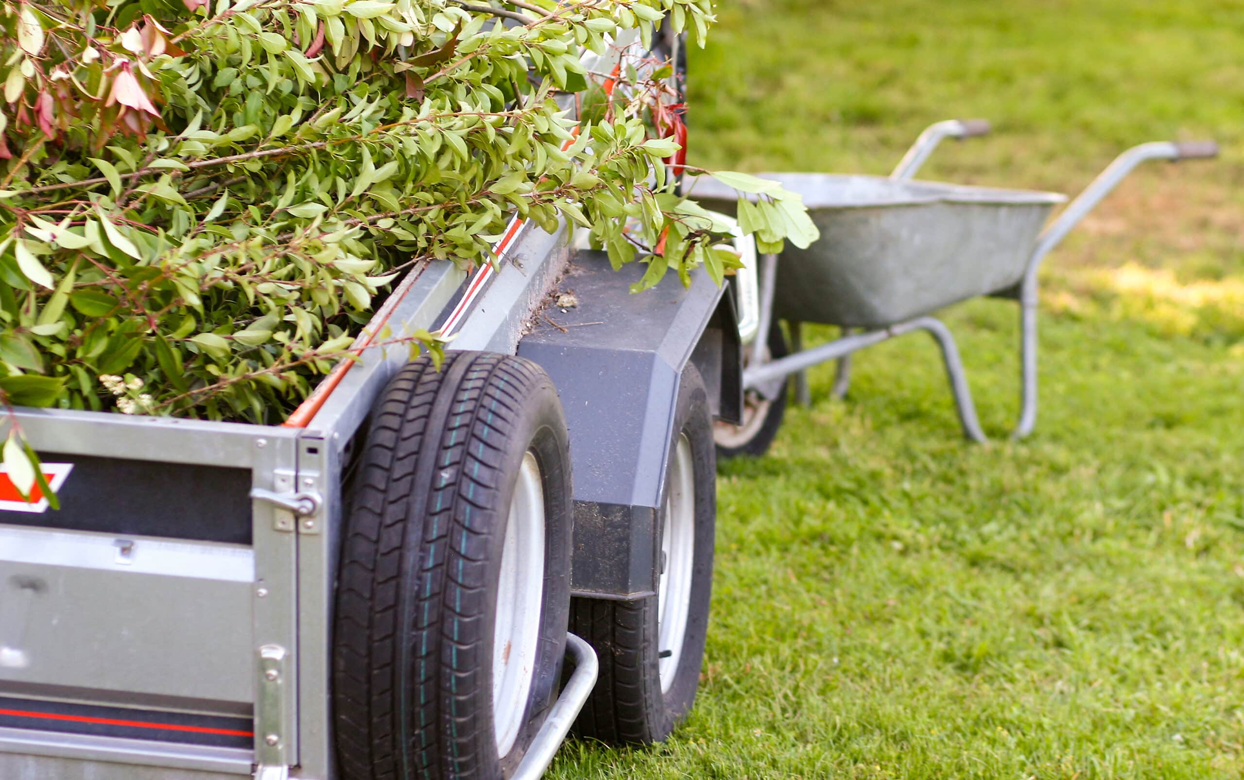 Gros plan sur une remorque de jardin remplie de branches feuillues vertes, avec une brouette floue en arrière-plan sur l'herbe.